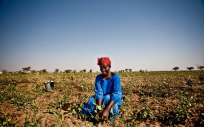 Leaders religieux et traditionnels du Sahel : action commune pour la paix